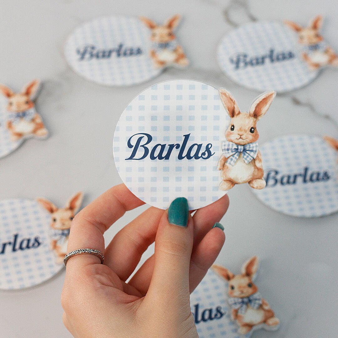 Tavşan Temalı Erkek Bebek Magneti