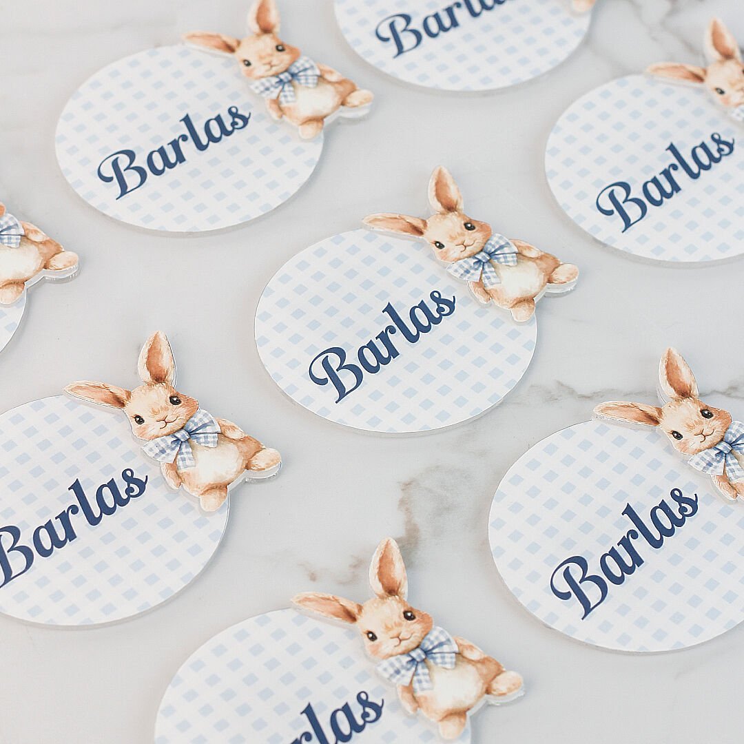 Tavşan Temalı Erkek Bebek Magneti