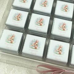 Ceylan Temalı Pleksi Kutuda Kız Bebek Çikolatası