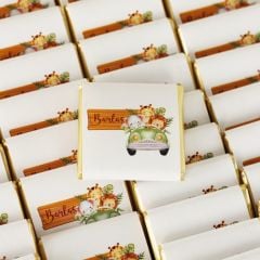 Hayvan Temalı Dikdörtgen Kutuda Erkek Bebek Çikolatası