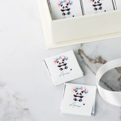 Panda Temalı Dikdörtgen Kutuda Erkek Bebek Çikolatası