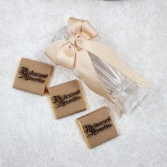 Ayıcık Temalı Metal Kutuda Erkek Bebek Çikolatası