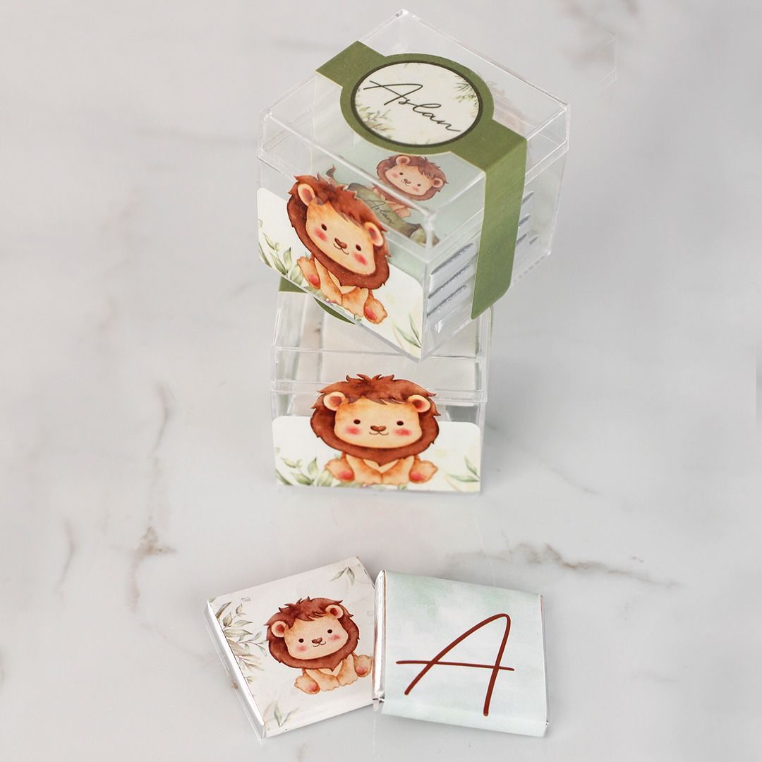 Aslan Temalı Erkek Bebek Çikolata Küpleri