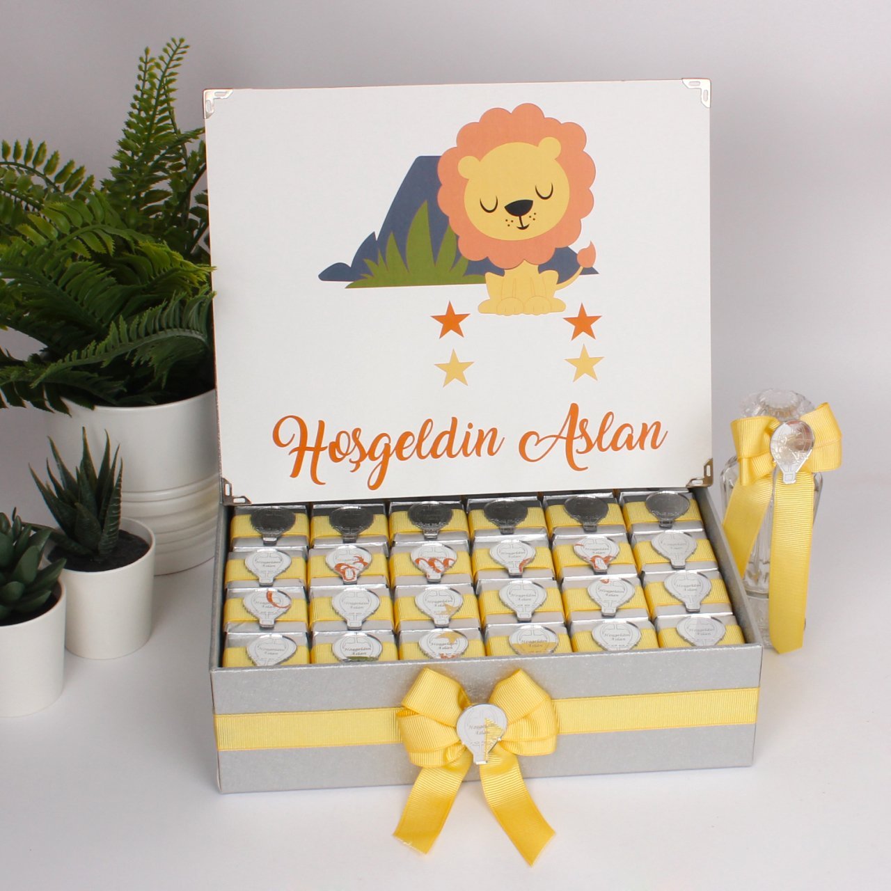 Aslan Temalı Standlı Kutuda Erkek Bebek Çikolatası