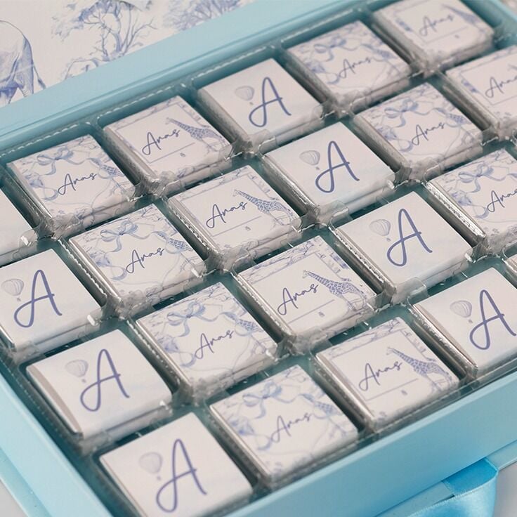 Hayvan Temalı Dikdörtgen Kutuda Erkek Bebek Çikolatası