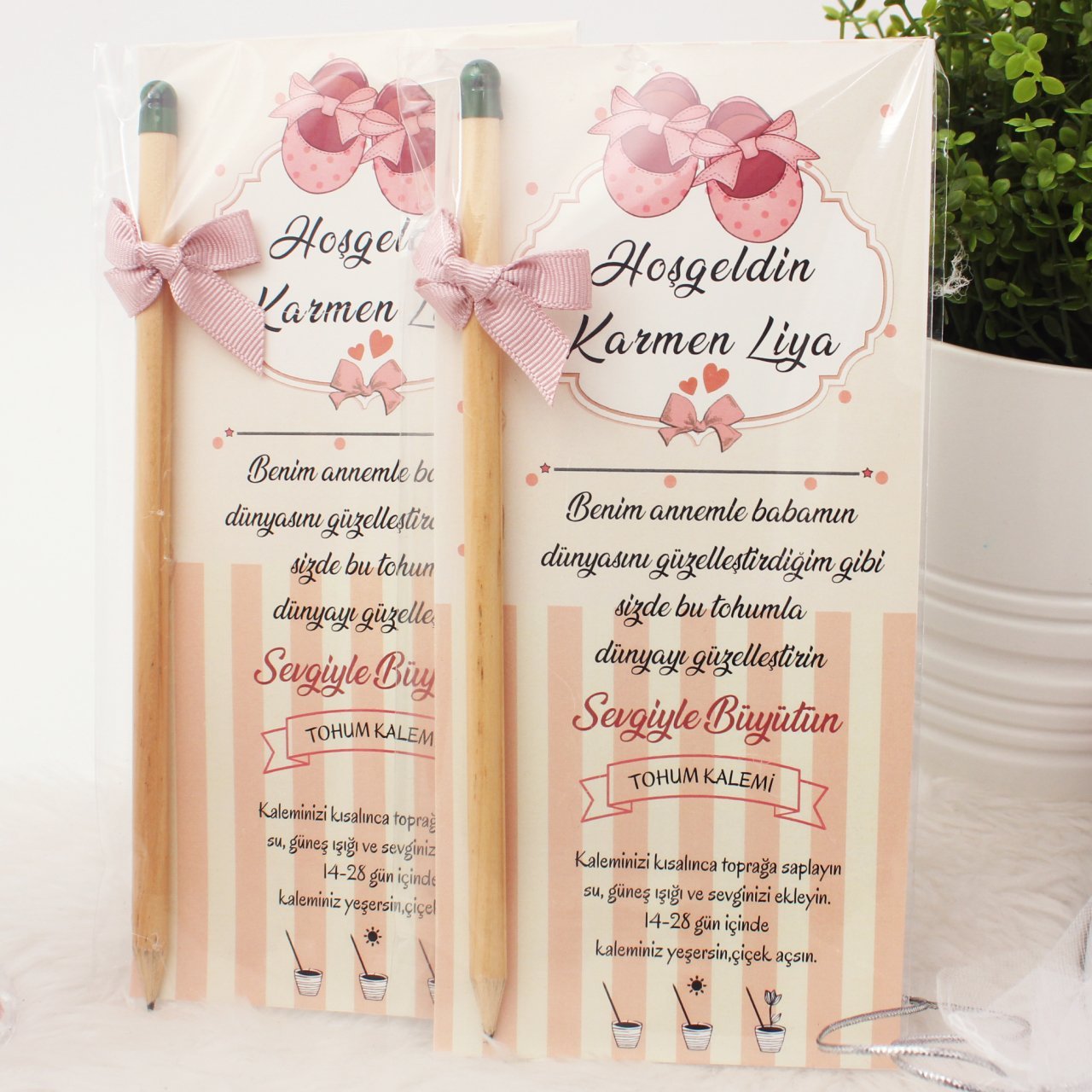 Ayakkabı Temalı Yeşeren Kalem